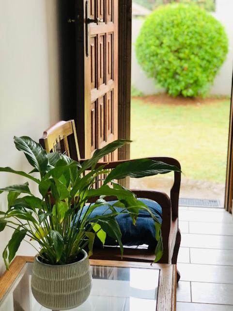 Danville Forest Guest House & Apartments Durban Exteriör bild